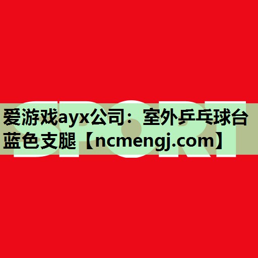 爱游戏ayx公司：室外乒乓球台蓝色支腿