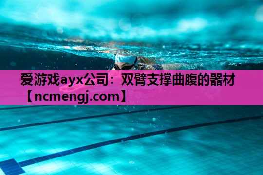 爱游戏ayx公司：双臂支撑曲腹的器材